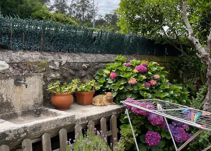 Casita En Centro Апартаменты